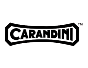 Carousel item